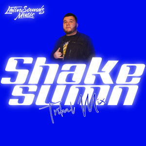Shake Sumn Tribal Mix (Explicit) dari DJ Gecko