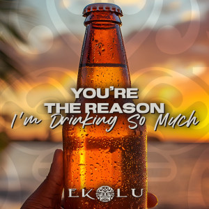 Album You're the Reason I'm Drinking so Much from Ekolu