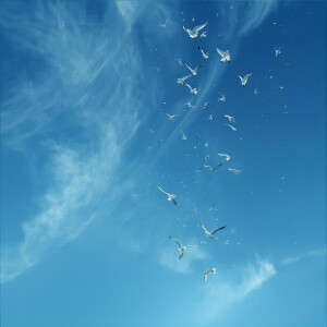 default playlist img