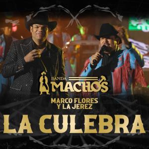 Banda Machos的專輯La Culebra