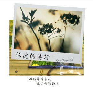 Listen to 惊扰的诗行 (伴奏) song with lyrics from 容子嘉