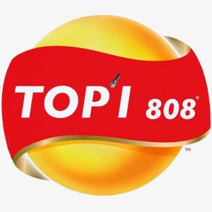 Listen to 808 song with lyrics from TOP1