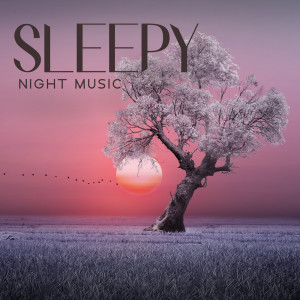 Album Sleepy Night Music (Pillow Melodies, Zen Sleep, Sleeping Nature, Melatonin Release) from Deep Sleep Maestro