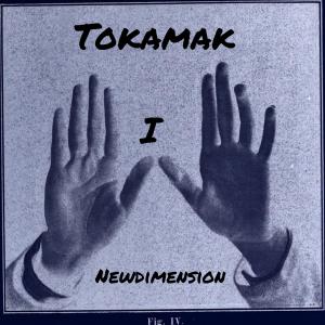 Album Tokamak I from Tokamak