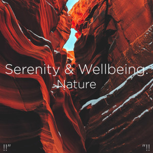 收听Sleep Sounds of Nature的Heavy Rain歌词歌曲