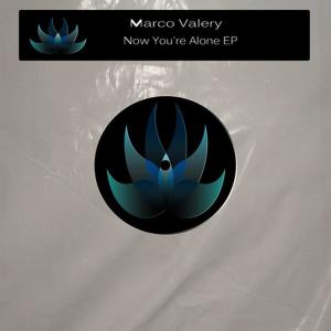 ดาวน์โหลดและฟังเพลง Free Disco Feel (Valery Piano Mix) พร้อมเนื้อเพลงจาก Marco Valery