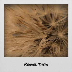ดาวน์โหลดและฟังเพลง Kernel Their พร้อมเนื้อเพลงจาก Bber