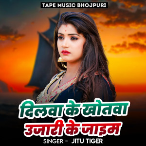 Album Dilva Ke Khotwa Ojari Ke Jaimi from Jitu Tiger