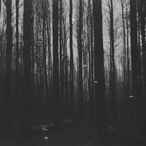 Listen to The North Woods song with lyrics from MADRON