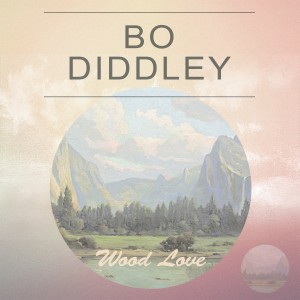 Bo Diddley的專輯Wood Love