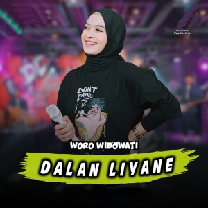 收聽Woro Widowati的Dalan Liyane歌詞歌曲