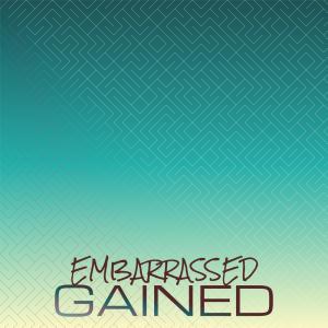 Various的专辑Embarrassed Gained