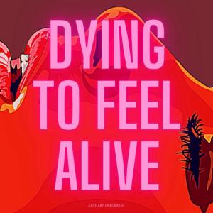 อัลบัม Dying To Feel Alive ศิลปิน Zachary Friederich