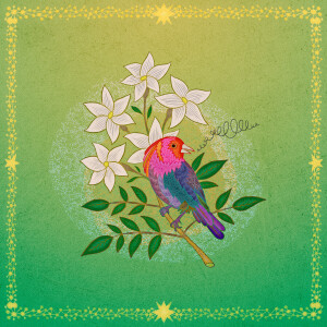 default playlist img