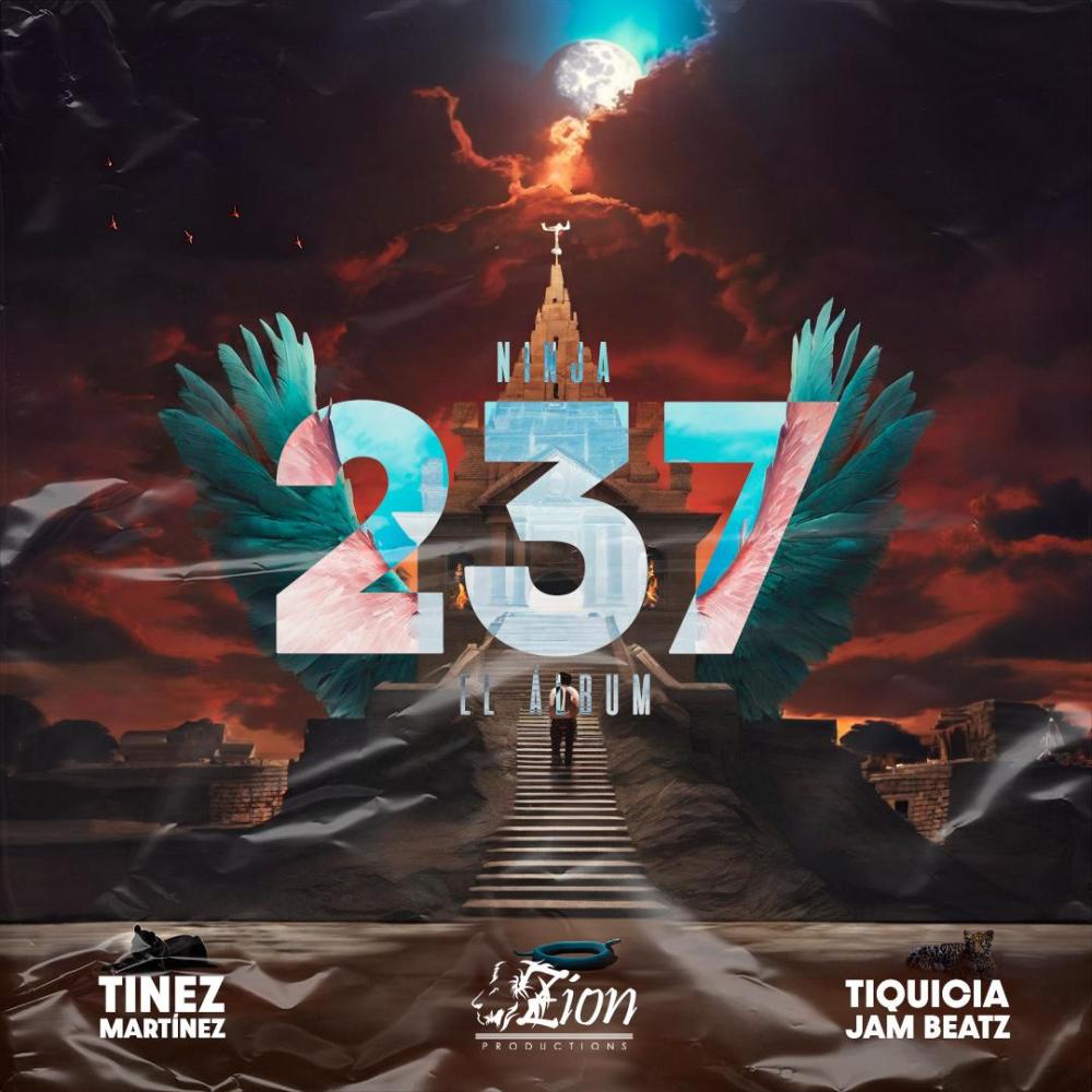 Ninja (feat. Tinez)