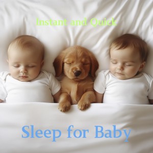 Album Quick Lullabies to Help Baby Sleep Fast from 