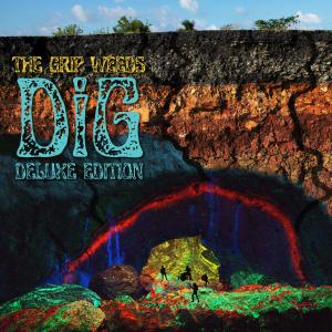 ดาวน์โหลดและฟังเพลง Lies พร้อมเนื้อเพลงจาก The Grip Weeds