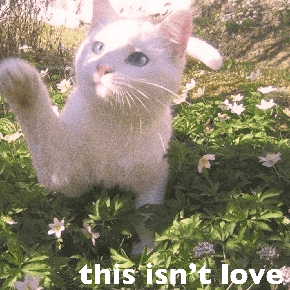 this isn’t love (feat. Gothkross)