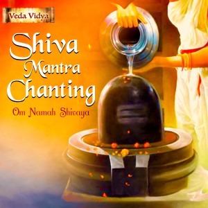 收聽Ritu的Shiva Mantra Chanting (Om Namah Shivaya)歌詞歌曲