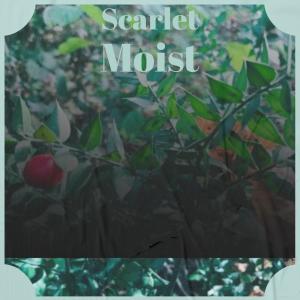 Listen to Sunrise Exit song with lyrics from Mhel Terance