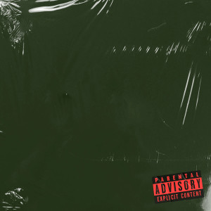 Album ВЕЧНОЗЕЛЕНЫЙ (Explicit) from Bruvvv