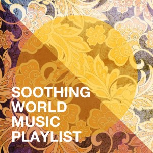 Various Artists的專輯Soothing World Music Playlist