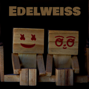Album Priceless oleh Edelweiss