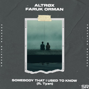 Album Somebody That I Used to Know from Faruk Orman