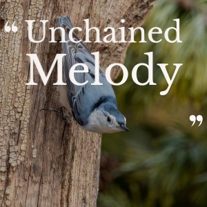 Dengarkan Unchained Melody lagu dari Kenny Rogers dengan lirik