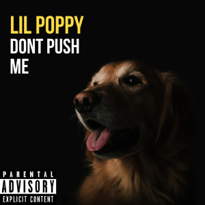 Listen to Don't Push Me (Explicit) song with lyrics from Lil Poppy