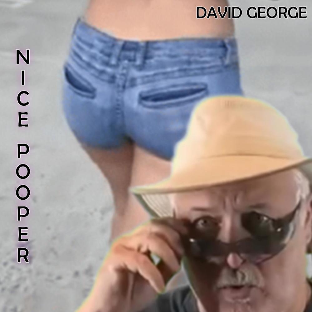 Nice Pooper