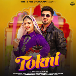 Album Tokni from Raj Mawar