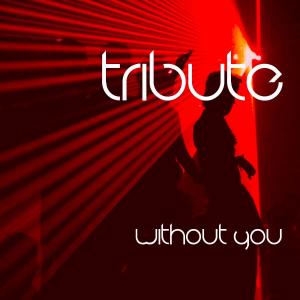 收聽PopMusik的Without You (David Guetta feat. Usher Cover)歌詞歌曲