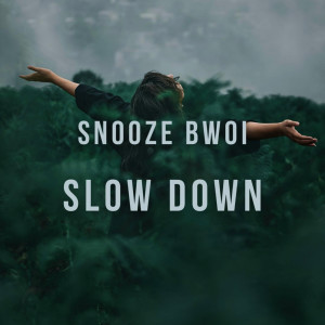 AlutaHits的專輯Slow Down