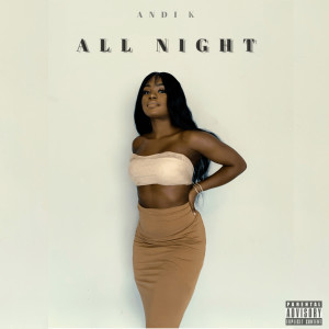 Album All Night (Explicit) oleh Andi K