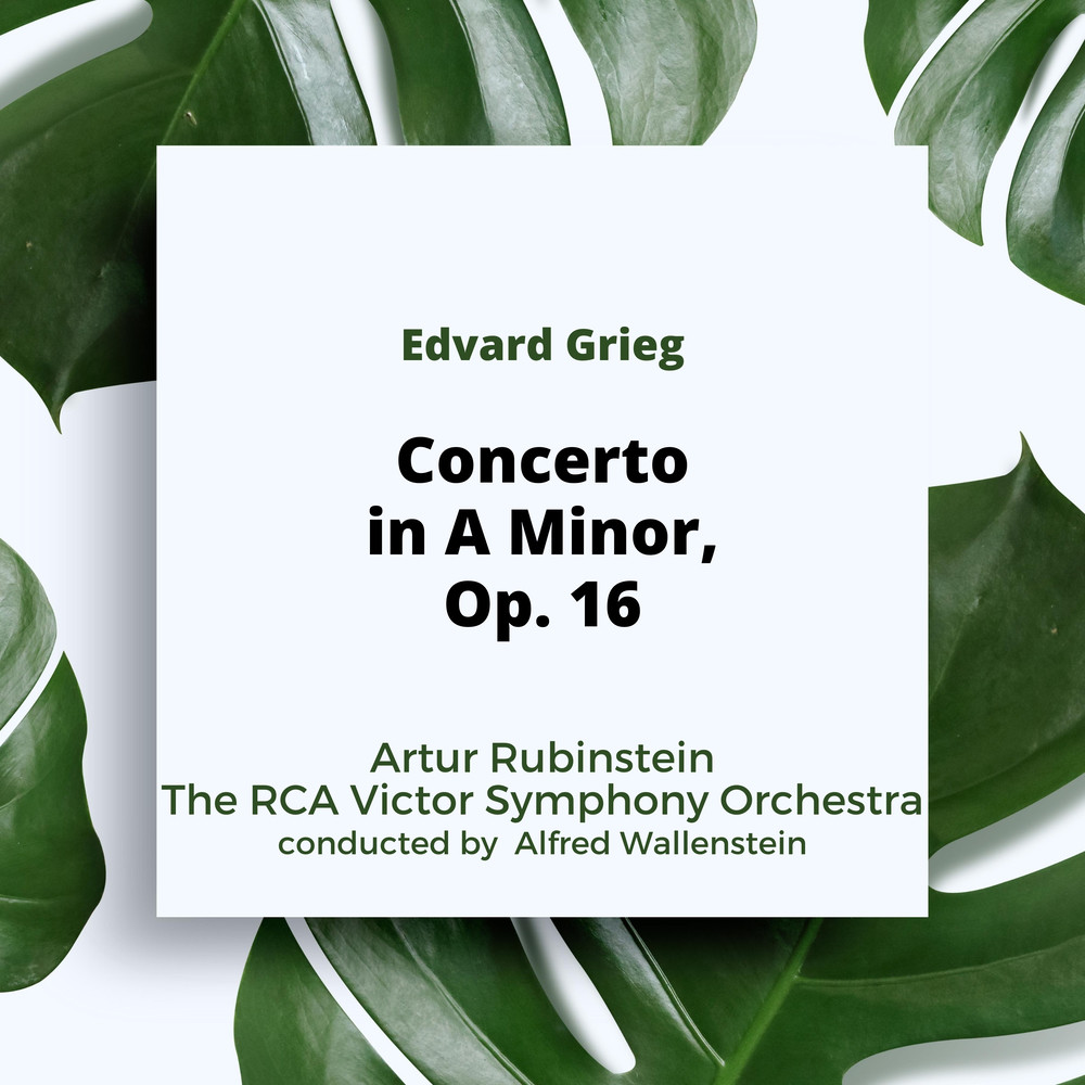 Piano Concert in A Minor, Op. 16: III. Allegro moderato molto e marcato