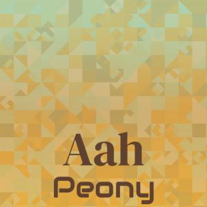 Album Aah Peony from Various