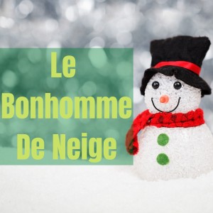 Various Artists的專輯Le Bonhomme De Neige