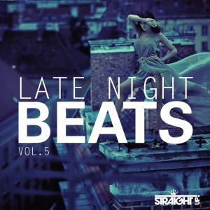 Various Artists的專輯Late Night Beats Vol. 5