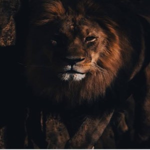 Dengarkan Che Mme (Extended Version) lagu dari gml dengan lirik