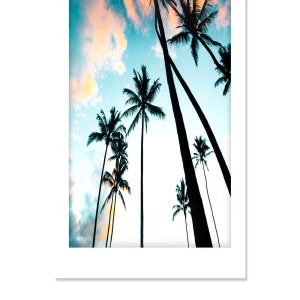 ดาวน์โหลดและฟังเพลง Mamacita (feat. Diablo Rojo) พร้อมเนื้อเพลงจาก Destiny de la Vega