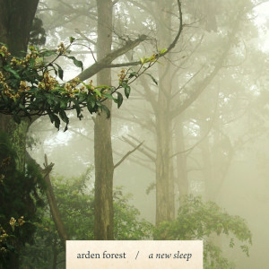 收听Arden Forest的A New Sleep歌词歌曲