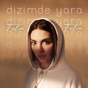 Listen to Dizimde Yara song with lyrics from Fulin
