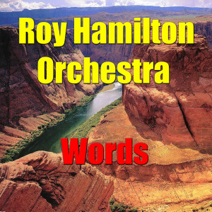 收聽Roy Hamilton Orchestra的Woman In Love歌詞歌曲