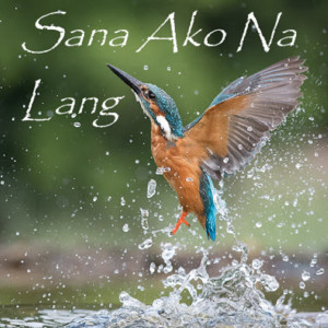 收聽Maria Malongayon的Sana Ako Na Lang歌詞歌曲