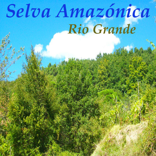 Selva Amazónica