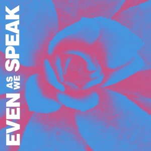 Album Forgiving from 