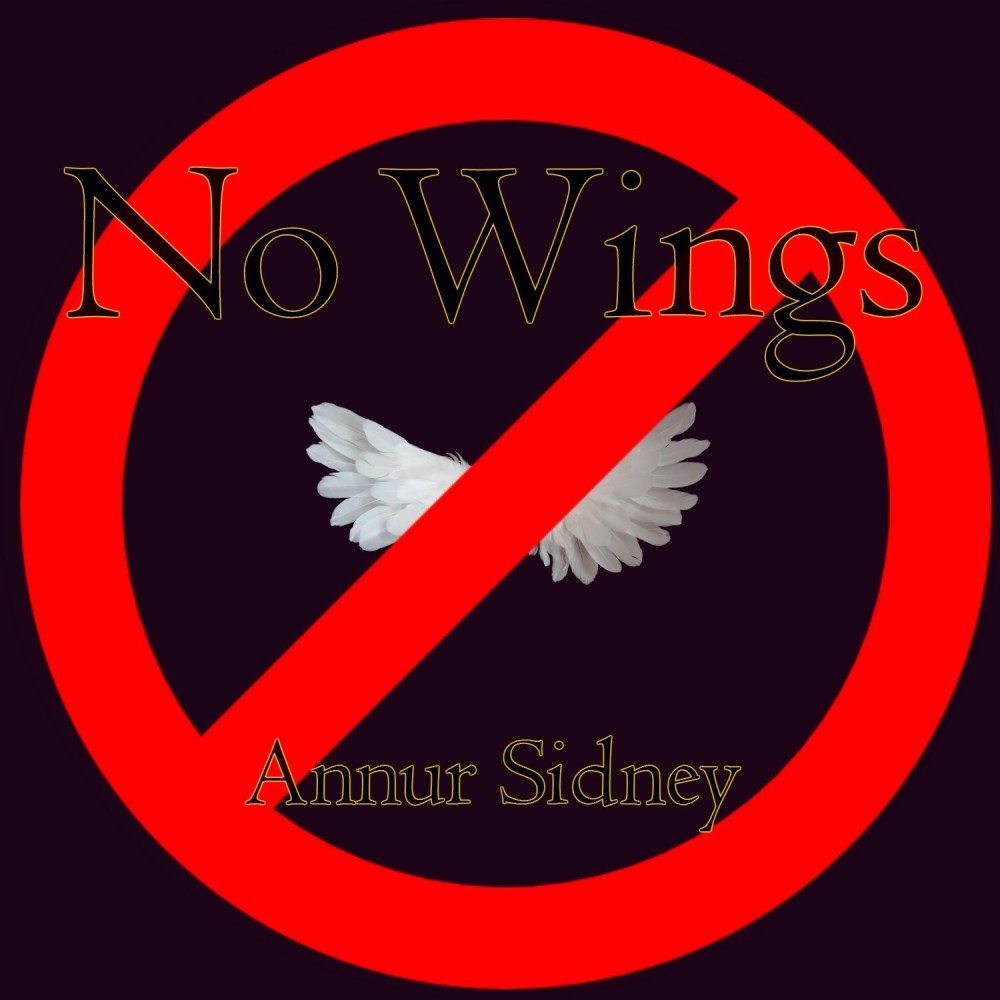 No WIngs