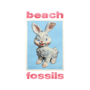 Album Bunny (Explicit) from Beach Fossils