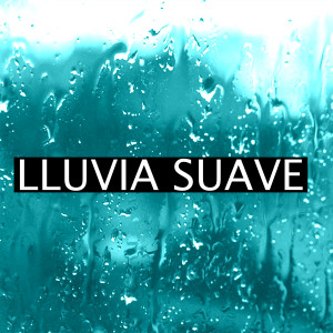 Album Lluvia Suave from lluvia